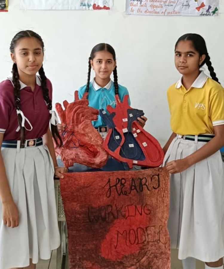 vidyawati school activity 9